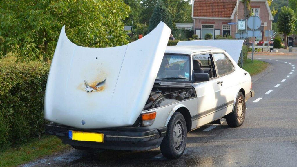 LP-87-**|APK verlopen